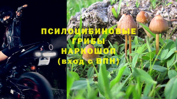 мдпв Магадан