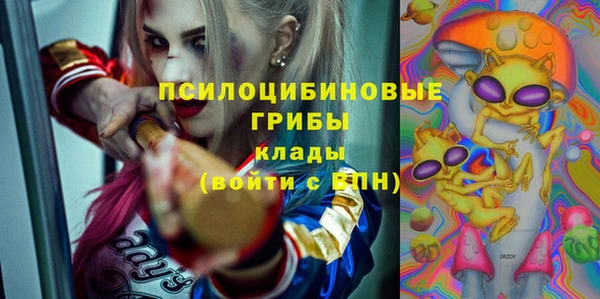 мдпв Майский